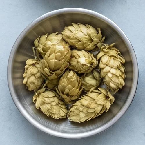 Hopfen: getrocknetes Pflanzenmaterial